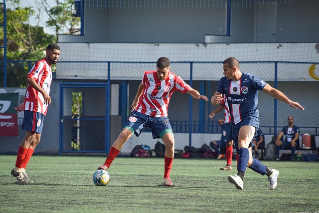 他们在联盟 他们在联盟