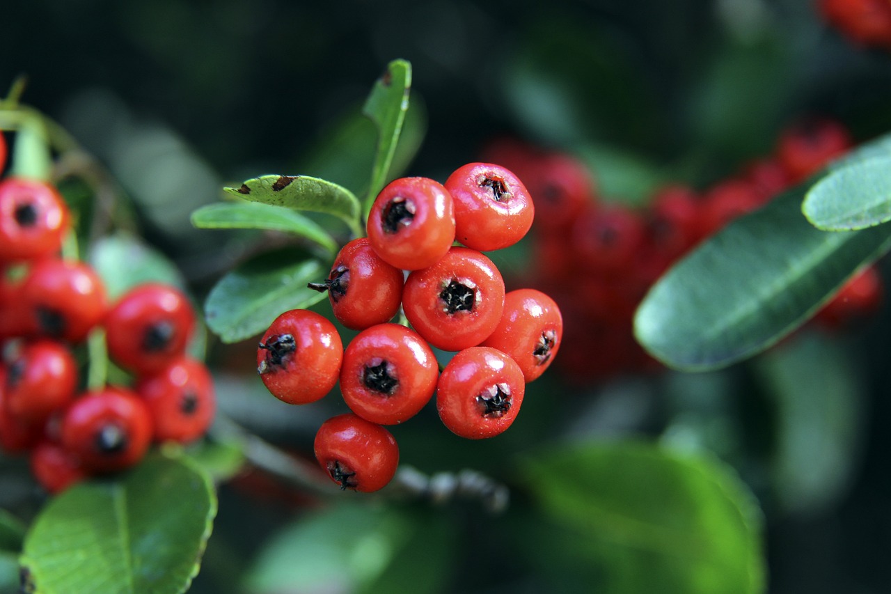 几乎每一场 几乎每一场