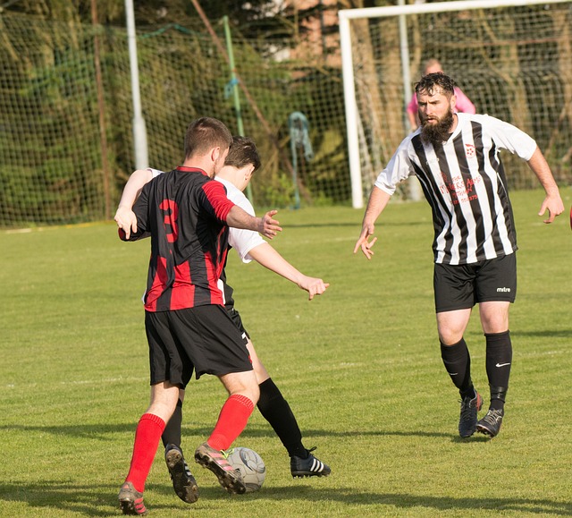 暂时牺牲了 暂时牺牲了